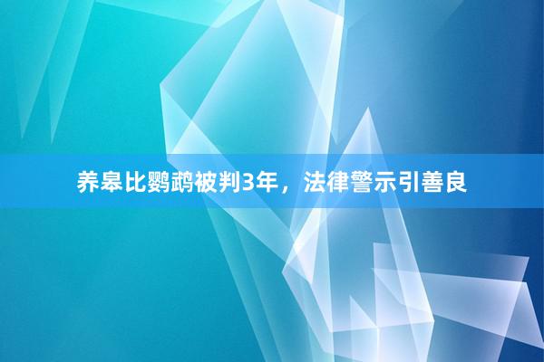 养皋比鹦鹉被判3年，法律警示引善良