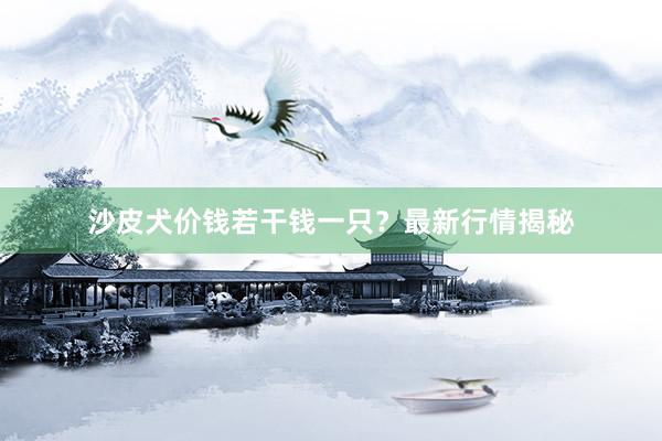 沙皮犬价钱若干钱一只？最新行情揭秘